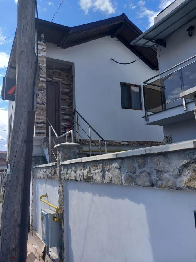 Casa Davison Apartment Targu Jiu Exterior photo