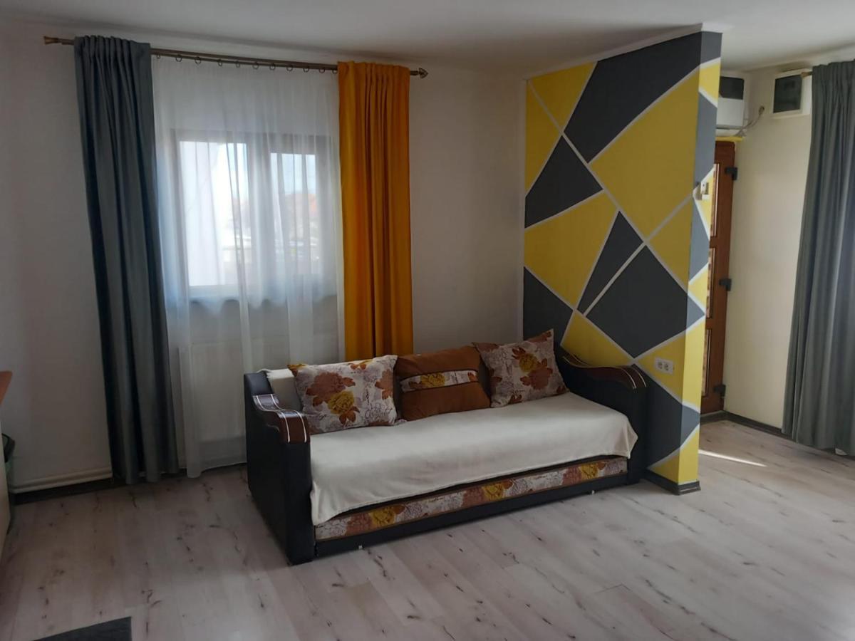 Casa Davison Apartment Targu Jiu Exterior photo